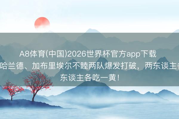 A8体育(中国)2026世界杯官方app下载 杠上了！哈兰德、加布里埃尔不睦两队爆发打破，两东谈主各吃一黄！