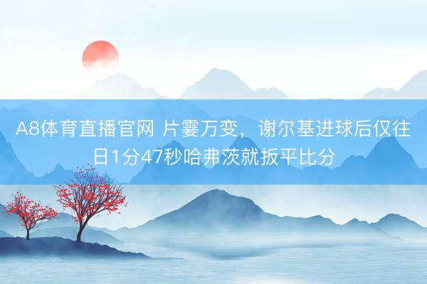 A8体育直播官网 片霎万变，谢尔基进球后仅往日1分47秒哈弗茨就扳平比分