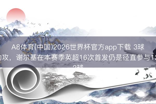 A8体育(中国)2026世界杯官方app下载 3球9助攻,谢尔基在本赛季英超16次首发仍是径直参与12球