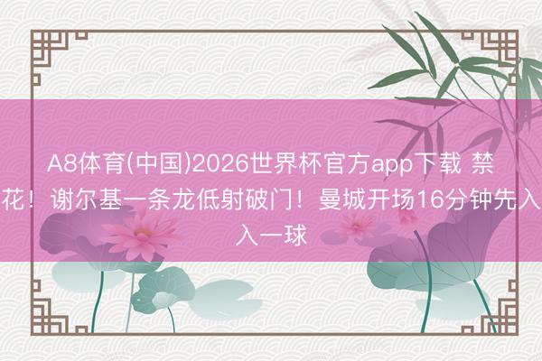 A8体育(中国)2026世界杯官方app下载 禁区拈花！谢尔基一条龙低射破门！曼城开场16分钟先入一球