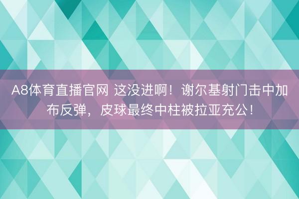 A8体育直播官网 这没进啊！谢尔基射门击中加布反弹，皮球最终中柱被拉亚充公！