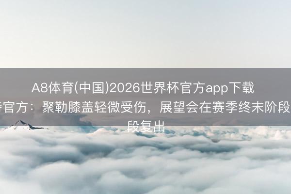 A8体育(中国)2026世界杯官方app下载 多特官方：聚勒膝盖轻微受伤，展望会在赛季终末阶段复出