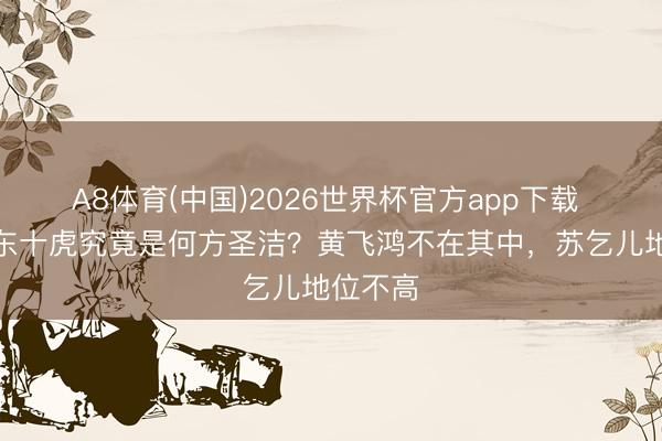 A8体育(中国)2026世界杯官方app下载 清末广东十虎究竟是何方圣洁?黄飞鸿不在其中,苏乞儿地位不高