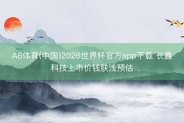 A8体育(中国)2026世界杯官方app下载 长鑫科技上市价钱肤浅预估