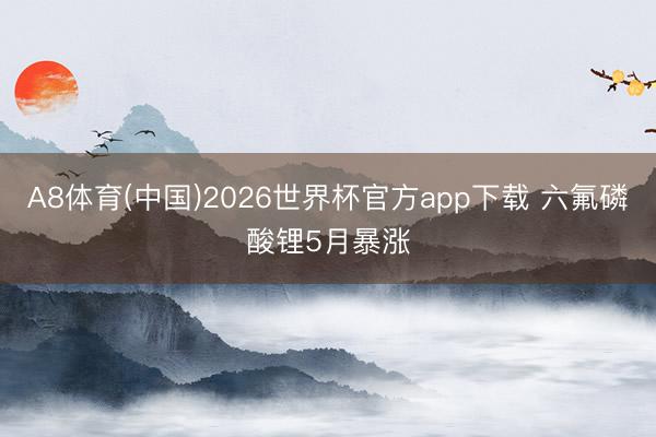 A8体育(中国)2026世界杯官方app下载 六氟磷酸锂5月暴涨