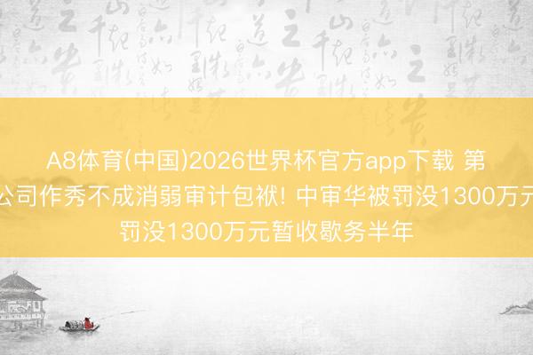 A8体育(中国)2026世界杯官方app下载 第三方互助上市