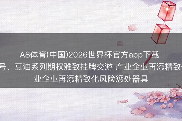 A8体育(中国)2026世界杯官方app下载 大商所黄大豆1