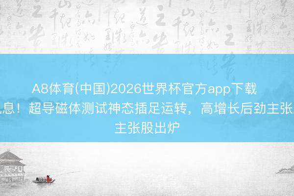 A8体育(中国)2026世界杯官方app下载 重磅讯息！超导磁体测试神态插足运转，高增长后劲主张股出炉