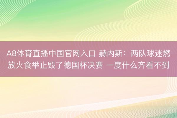 A8体育直播中国官网入口 赫内斯：两队球迷燃放火食举止毁了德国杯决赛 一度什么齐看不到