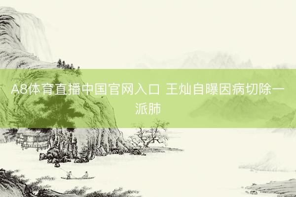 A8体育直播中国官网入口 王灿自曝因病切除一派肺