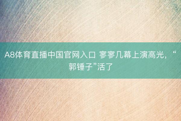 A8体育直播中国官网入口 寥寥几幕上演高光，“郭锤子”活了