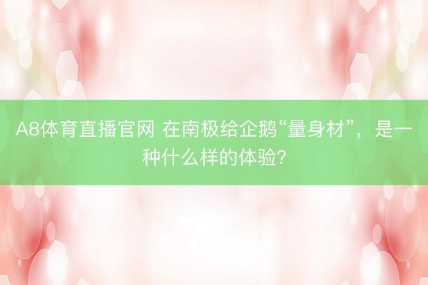 A8体育直播官网 在南极给企鹅“量身材”，是一种什么样的体验？